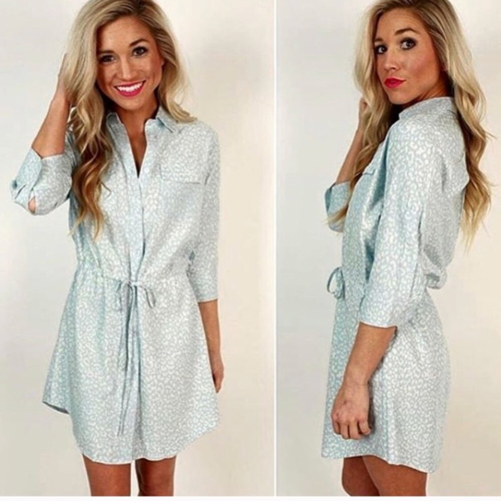 Chambre Shirt Dress